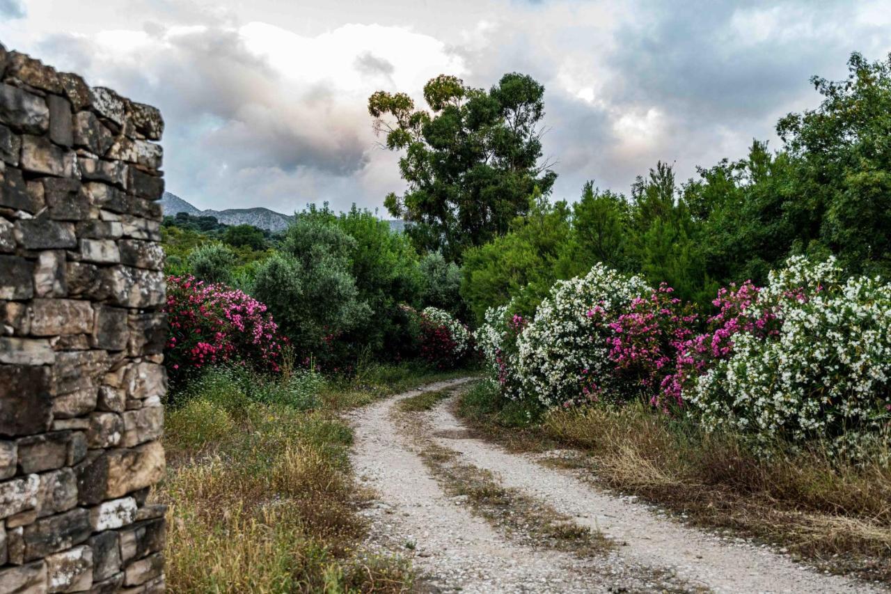 Hotel Rural El Horcajo De Ronda 몬테코르토 외부 사진