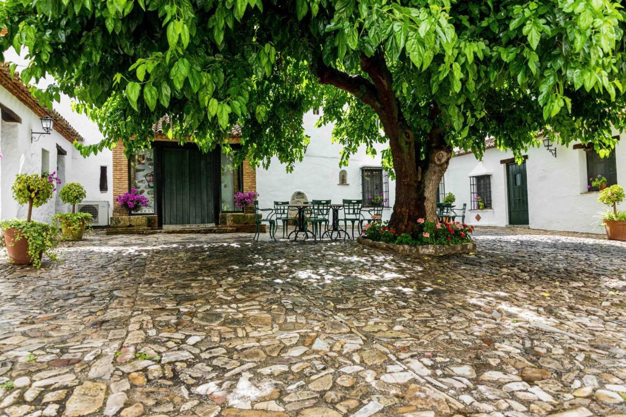 Hotel Rural El Horcajo De Ronda 몬테코르토 외부 사진