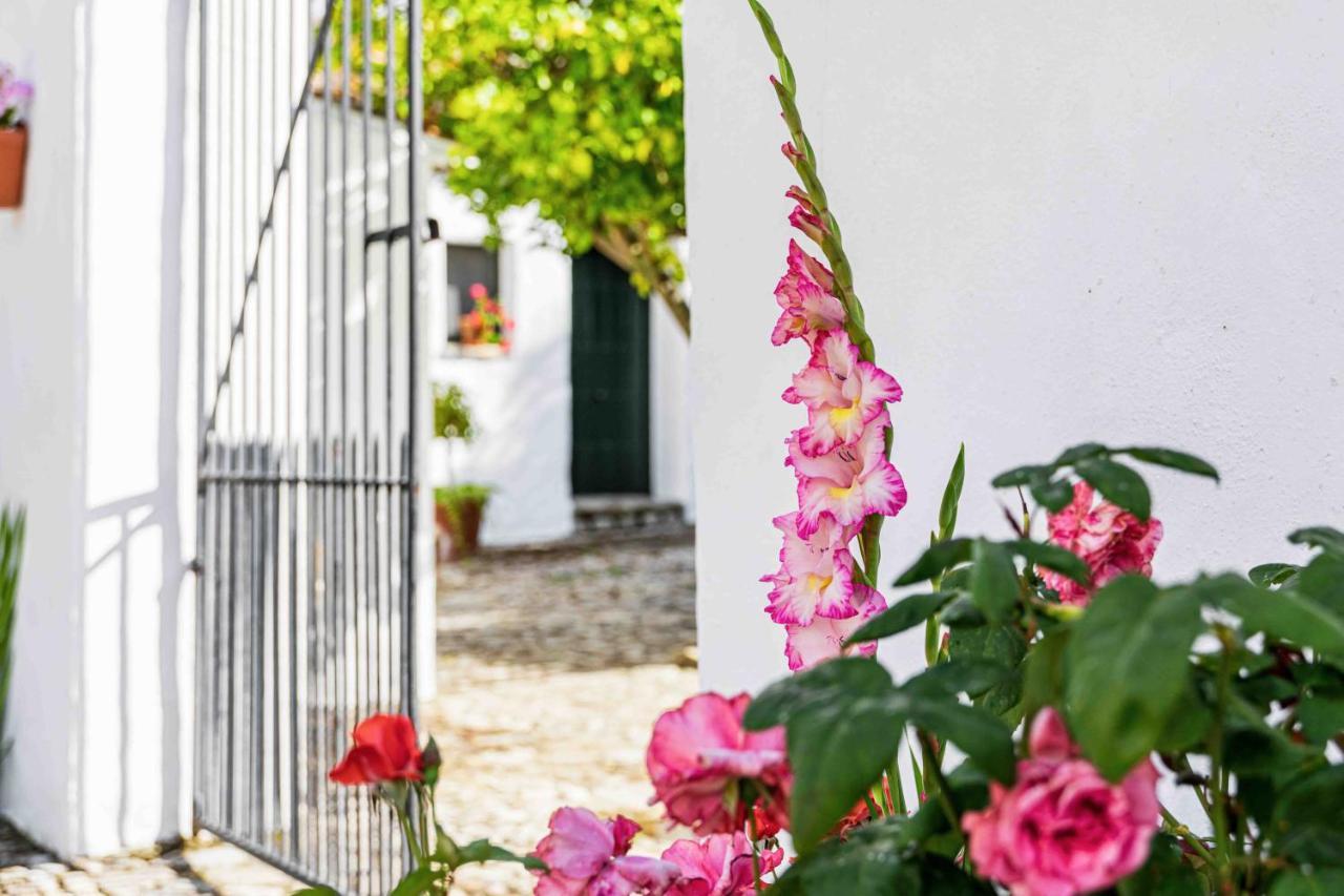 Hotel Rural El Horcajo De Ronda 몬테코르토 외부 사진