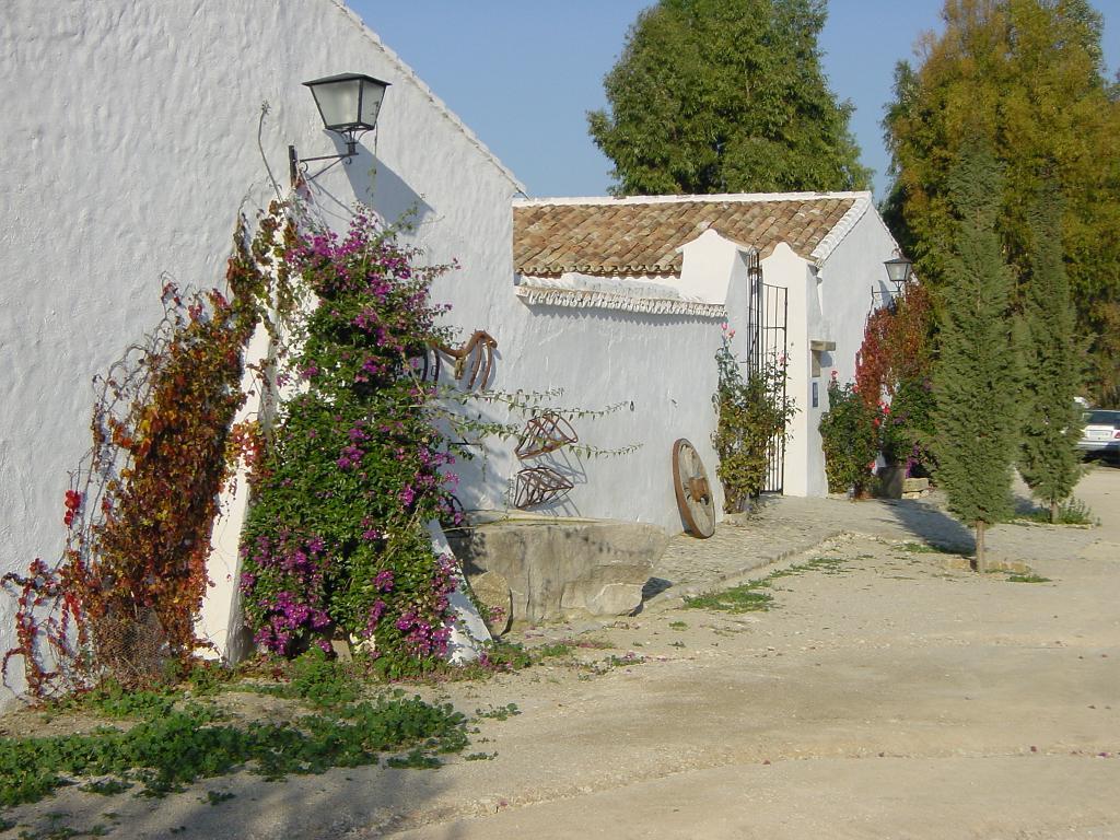 Hotel Rural El Horcajo De Ronda 몬테코르토 외부 사진